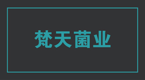 食品行业宜宾冲锋衣设计款式